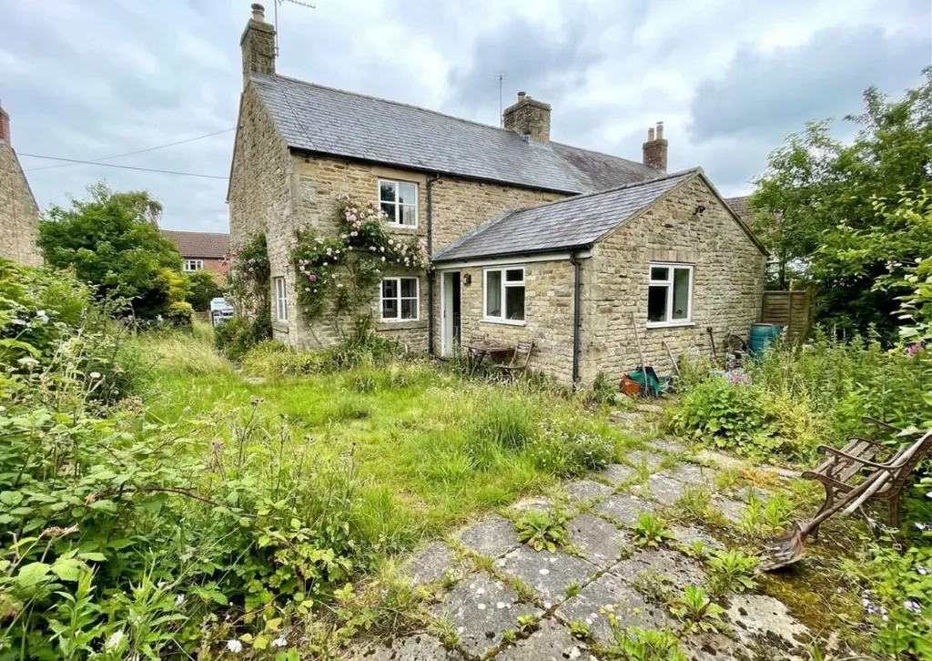 Overgrown cottage garden before landscaping
